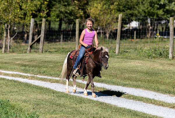 children-pony