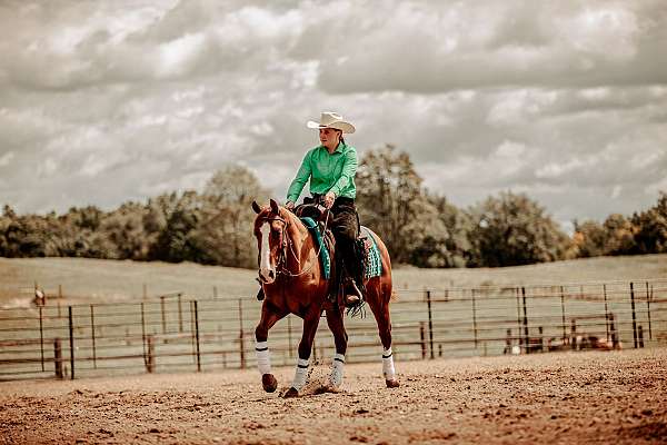 trail-riding-quarter-horse