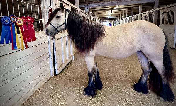 white-strip-all-black-feather