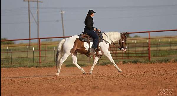 ranch-pony