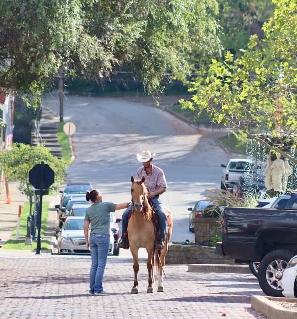 all-around-quarter-horse