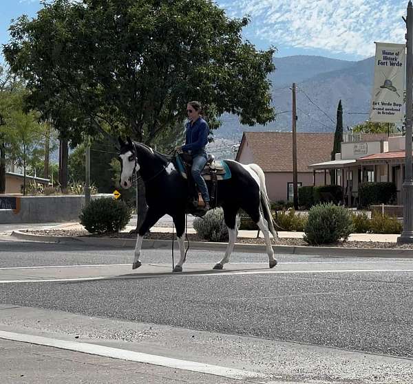 beginner-friendly-quarter-pony