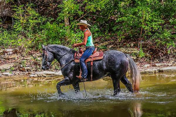 austin-draft-horse