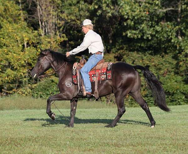 blaze-horse