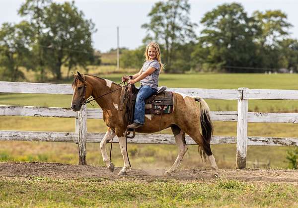 buckskin-spotted-dapples-pony