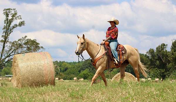 trail-quarter-horse