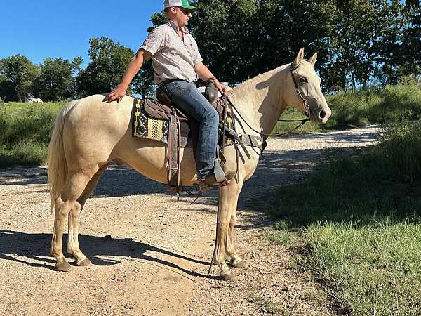 flashy-quarter-horse