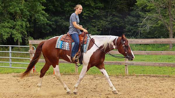 trail-riding-pinto-horse