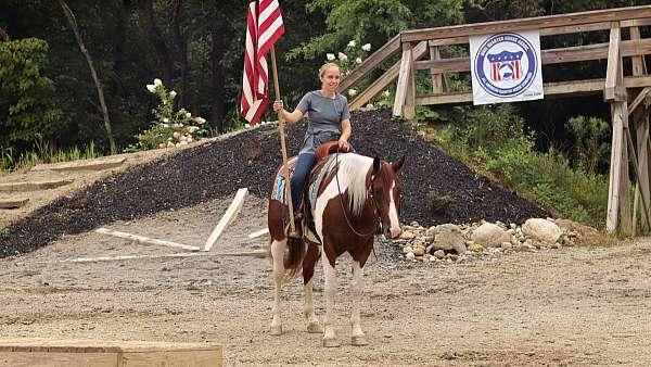 western-dressage-pinto-horse