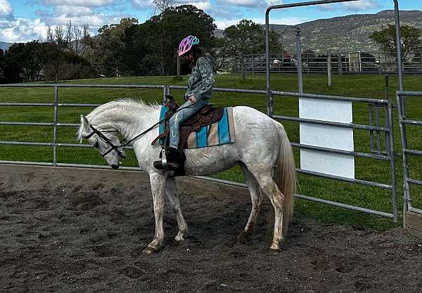 daughter-mustang-horse