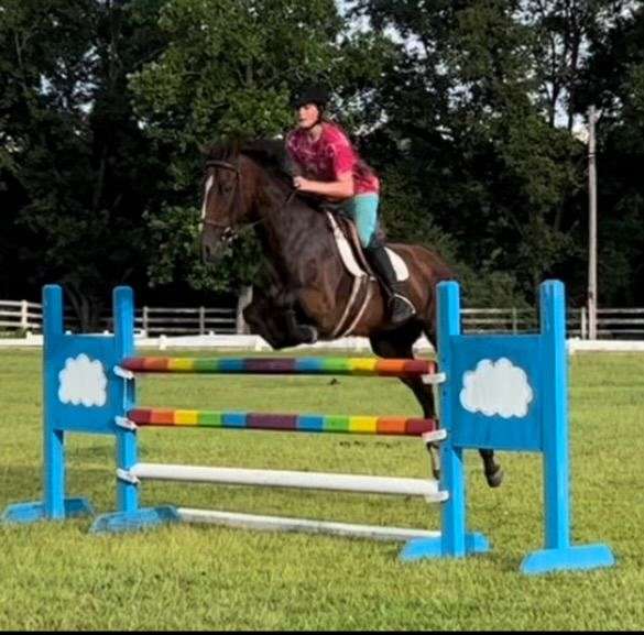 stripe-sock-horse