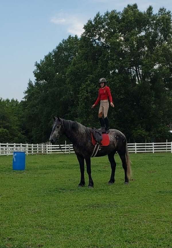 fbhr-draft-horse