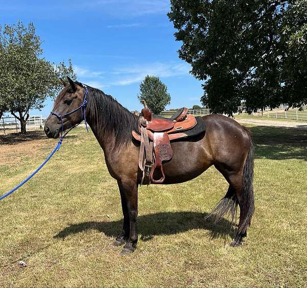 pack-trail-mustang-horse