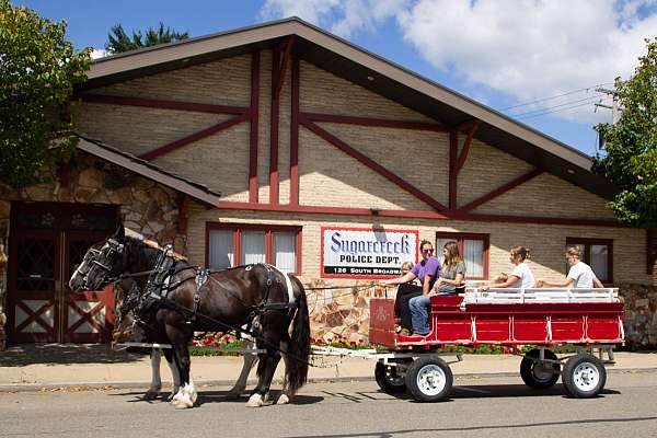 draft-horse