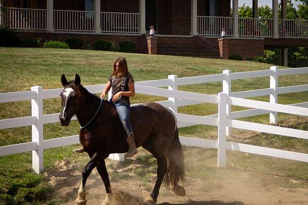 trail-riding-mare