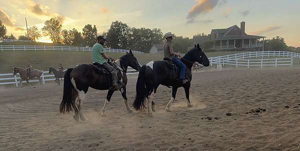 driving-horse