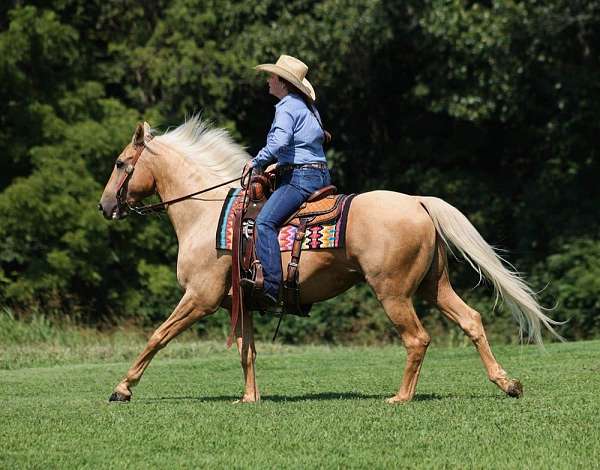 palomino-none-horse