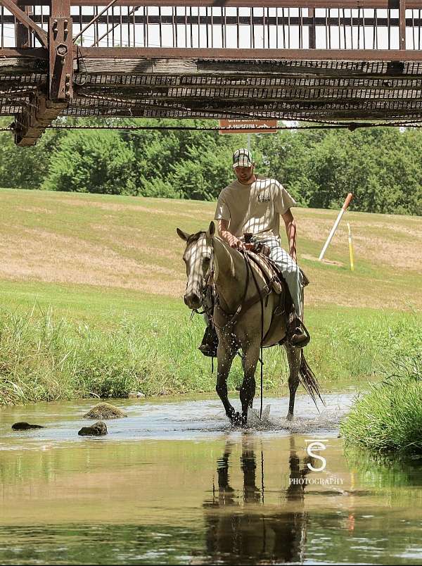 drill-team-quarter-horse