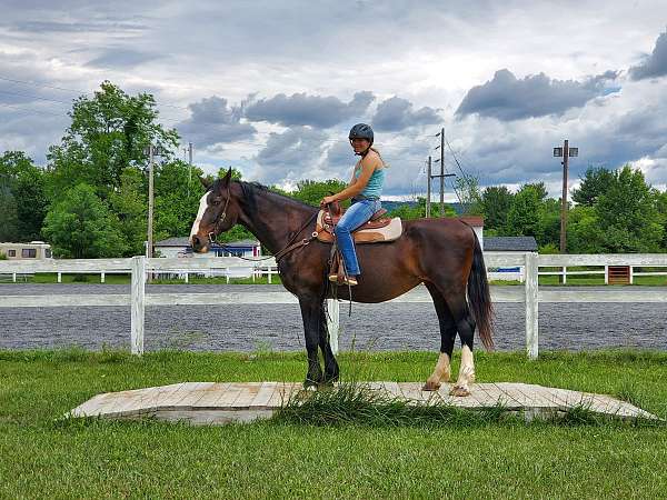 husband-safe-draft-horse