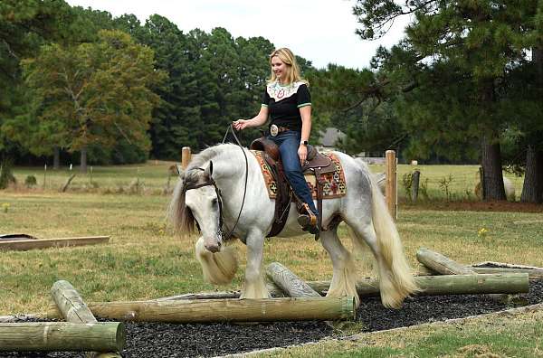 gentle-gypsy-vanner-horse