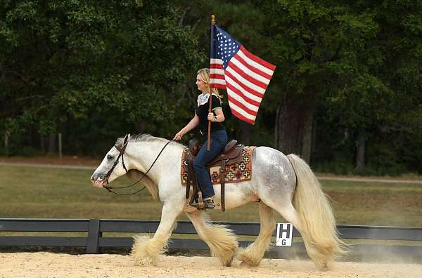 kid-safe-gypsy-vanner-horse