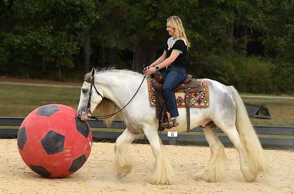 gentle-gypsy-vanner-horse