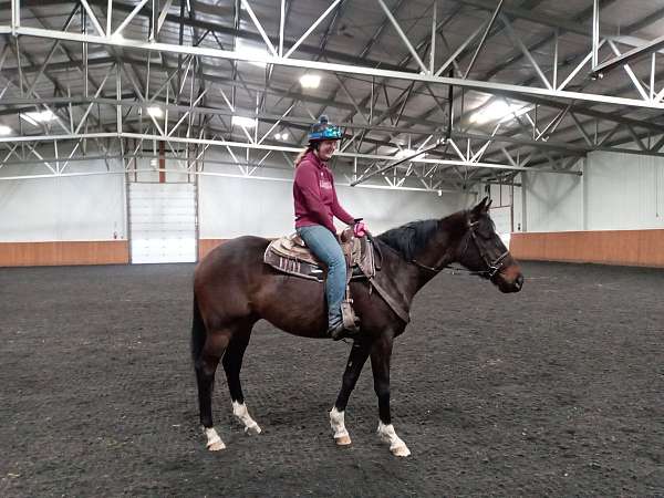 beautiful-markings-thoroughbred-horse