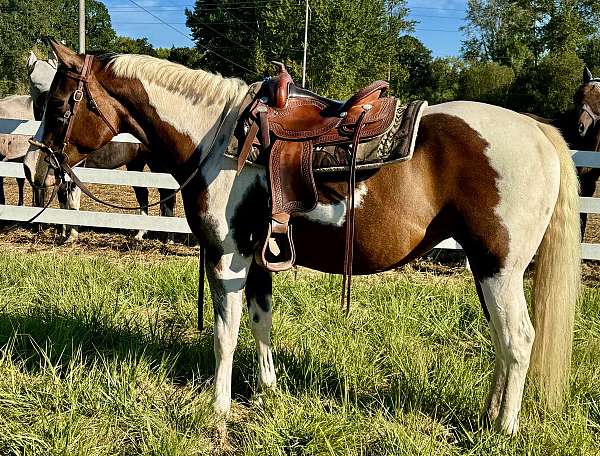 tobiano-horse