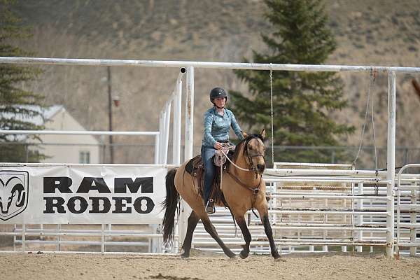 breeding-lease-quarter-horse