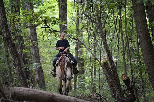 husband-safe-quarter-horse