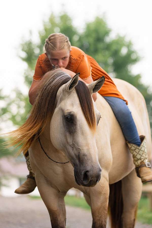 trail-riding-quarter-horse