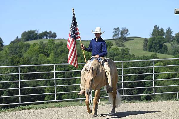 ranch-versatility-quarter-horse