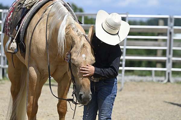 ranch-work-quarter-horse