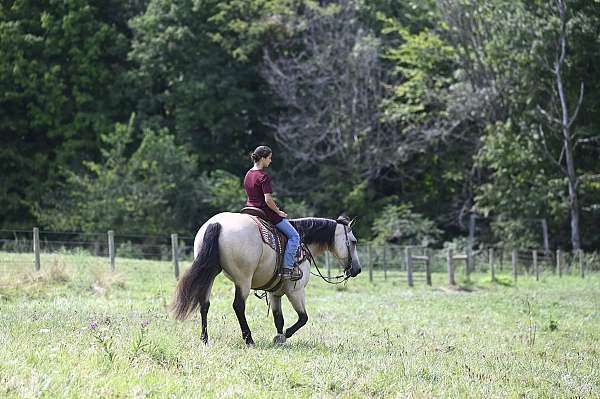 trail-riding-quarter-horse