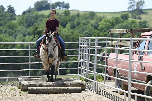 western-riding-quarter-horse