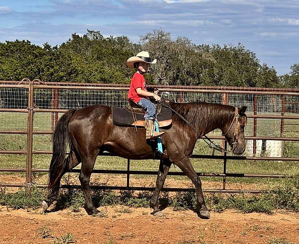 brown-working-cattle-pony