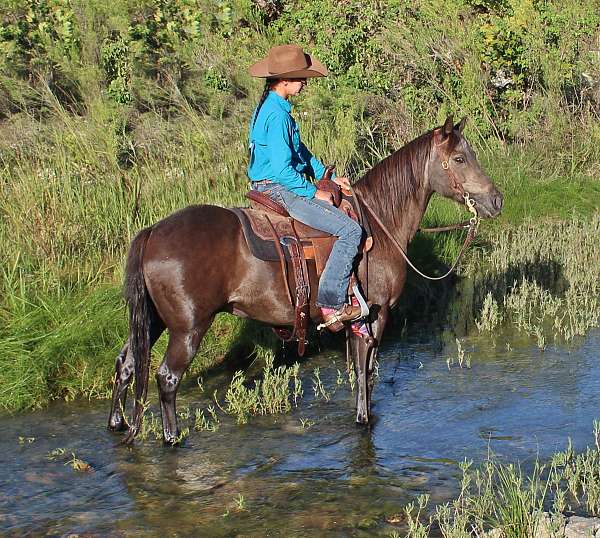 horsemanship-quarter-pony