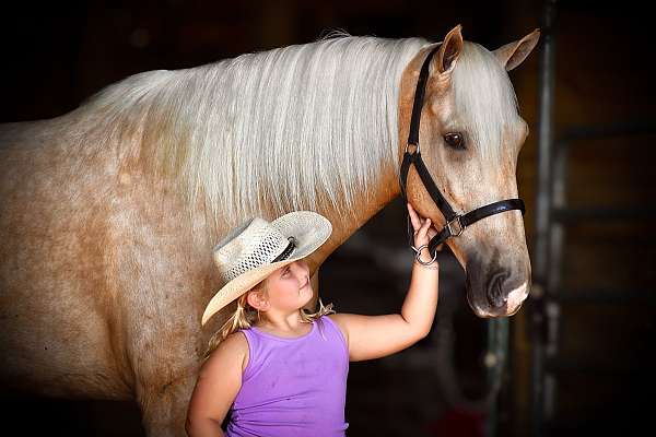 horse-riding-tennessee-walking