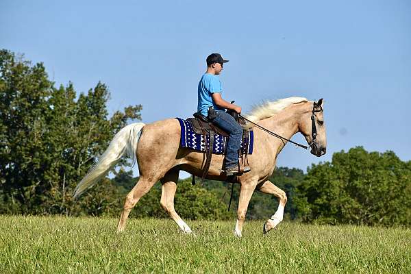 horse-riding