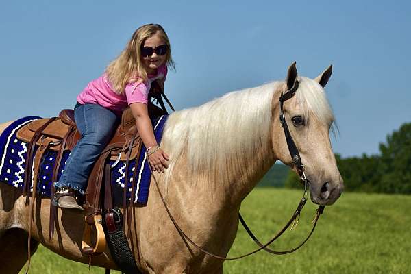 all-tennessee-walking-horse