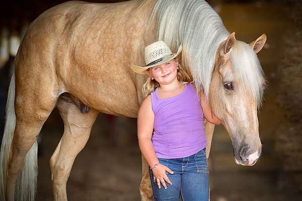 animals-tennessee-walking-horse