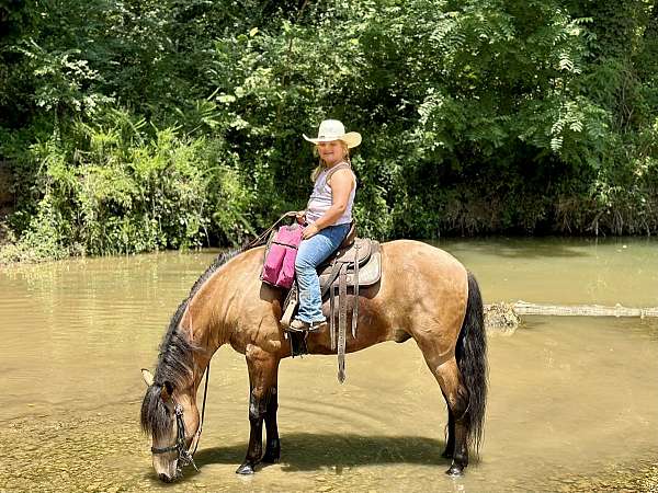 kid-friendly-horse-kentucky-mountain