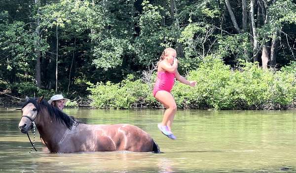 traffic-safe-horse-kentucky-mountain