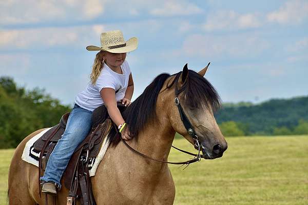 trail-horse-kentucky-mountain