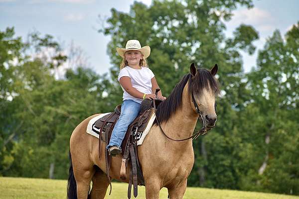 family-horse-kentucky-mountain