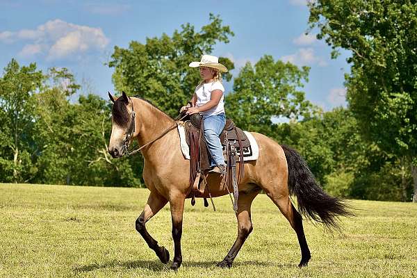 gun-safe-horse-kentucky-mountain