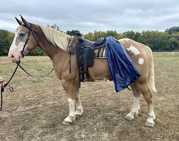 fox-hunt-draft-horse