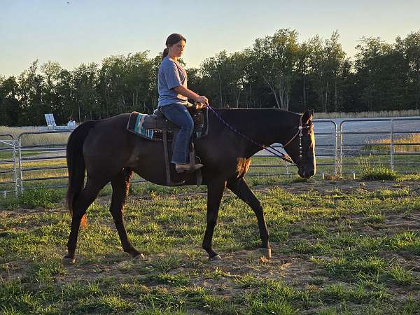 black-blaze-single-belly-spot-horse