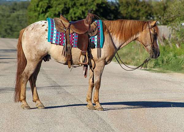 red-roan-blaze-blanket-pony