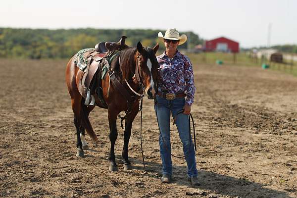 beginner-safe-quarter-horse